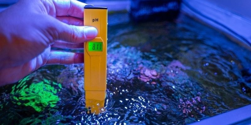 What is the Appropriate Ph Level for a Fish Aquarium?