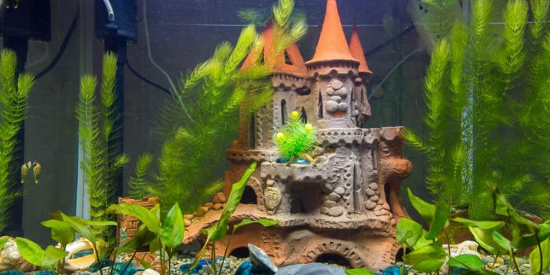 Can I Use Decorative Items or Ornaments in a Fish Tank?
